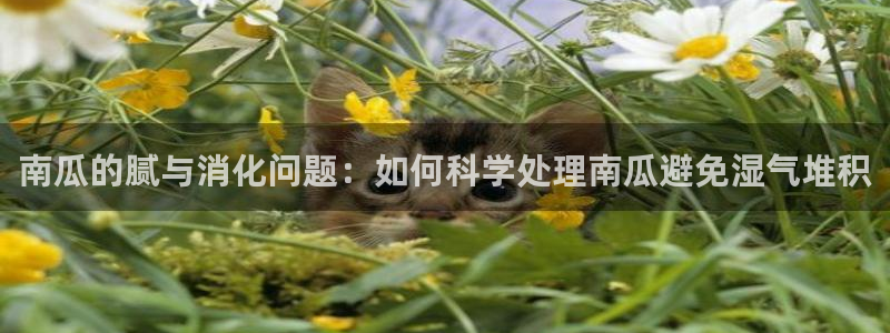 黑料下载:南瓜的腻与消化问题:如何科学处理南瓜避免湿气堆积