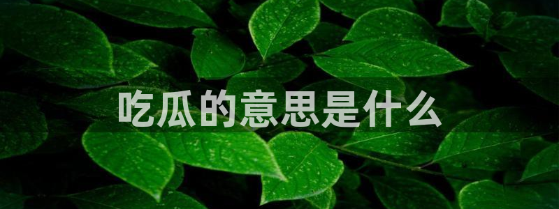51吃瓜全网更新最快:吃瓜的意思是什么